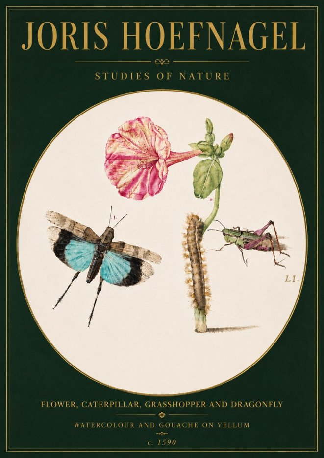 Joris Hoefnagel Plate L1. Studies of Insects and Plants No6 - Plakát