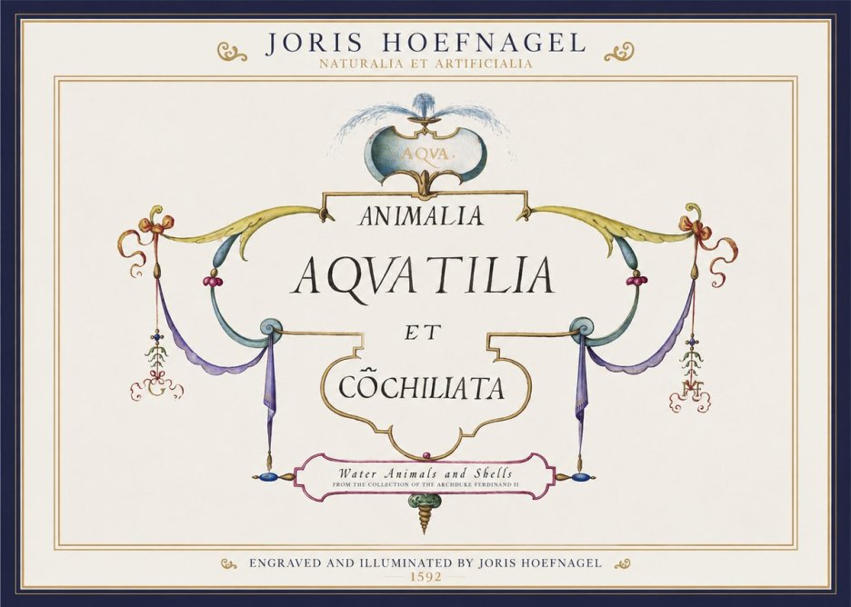 Joris Hoefnagel Animalia Aquatilia Et Cochiliata No1 - Plakát