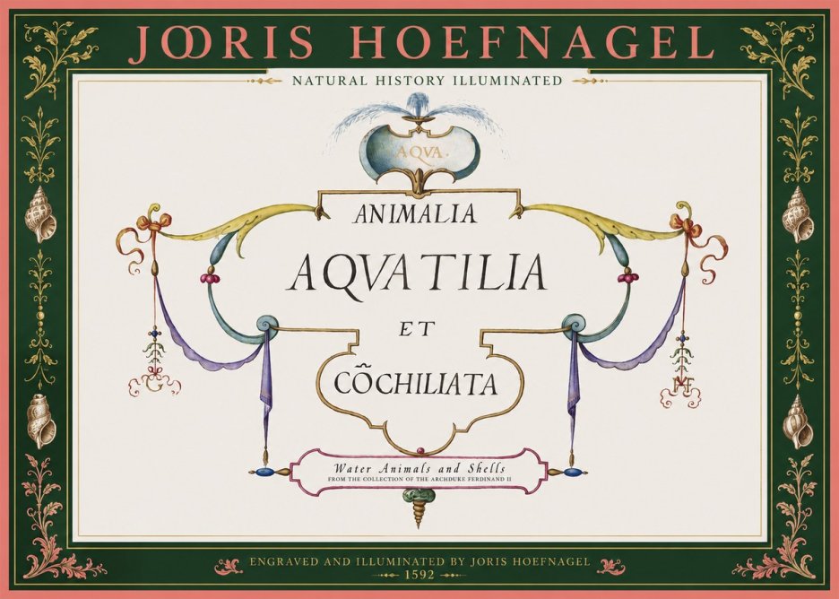 Joris Hoefnagel Animalia Aquatilia Et Cochiliata No2 - Plakát