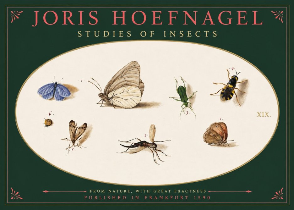 Joris Hoefnagel Studies of Insects V No2 - Plakát