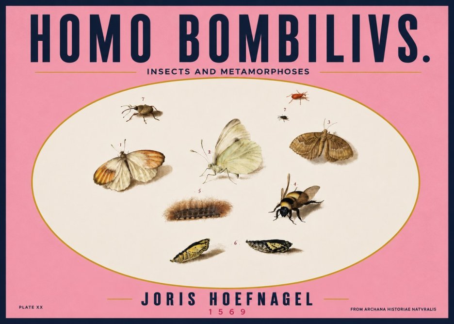 Joris Hoefnagel Homo Bombilivs. Insecta Et Metamorphoses No4 - Plakát