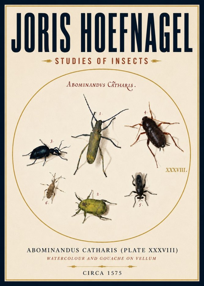 Joris Hoefnagel Abominandus Catharis (Plate Xxxviii) No4 - Plakát