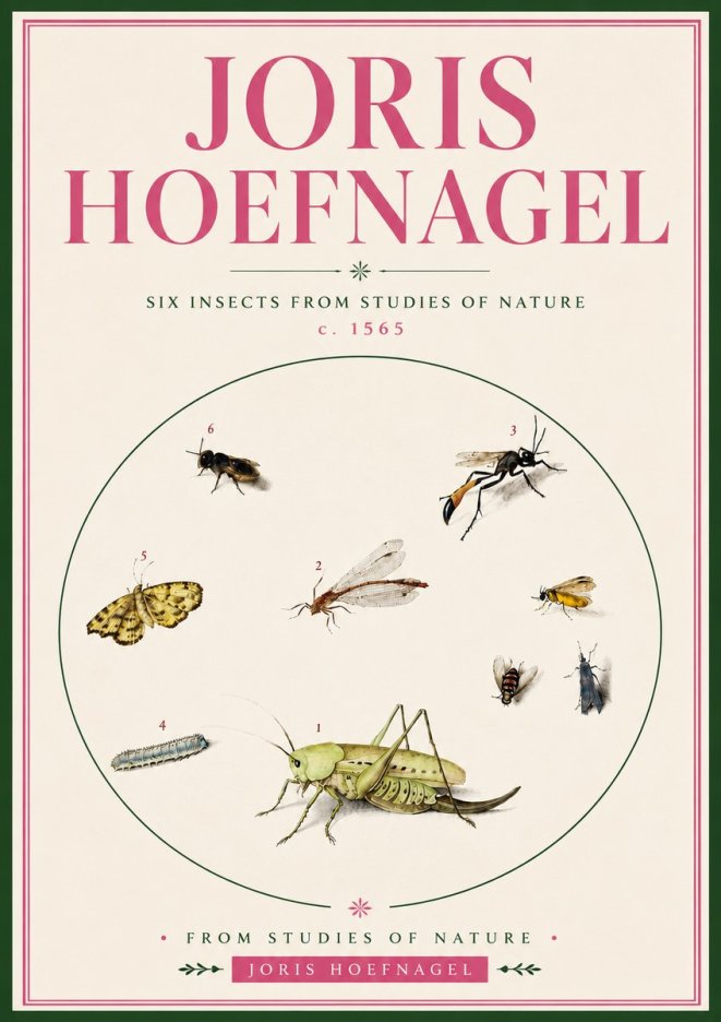 Joris Hoefnagel Six Insects from Studies of Nature C. 1565 No5 - Plakát