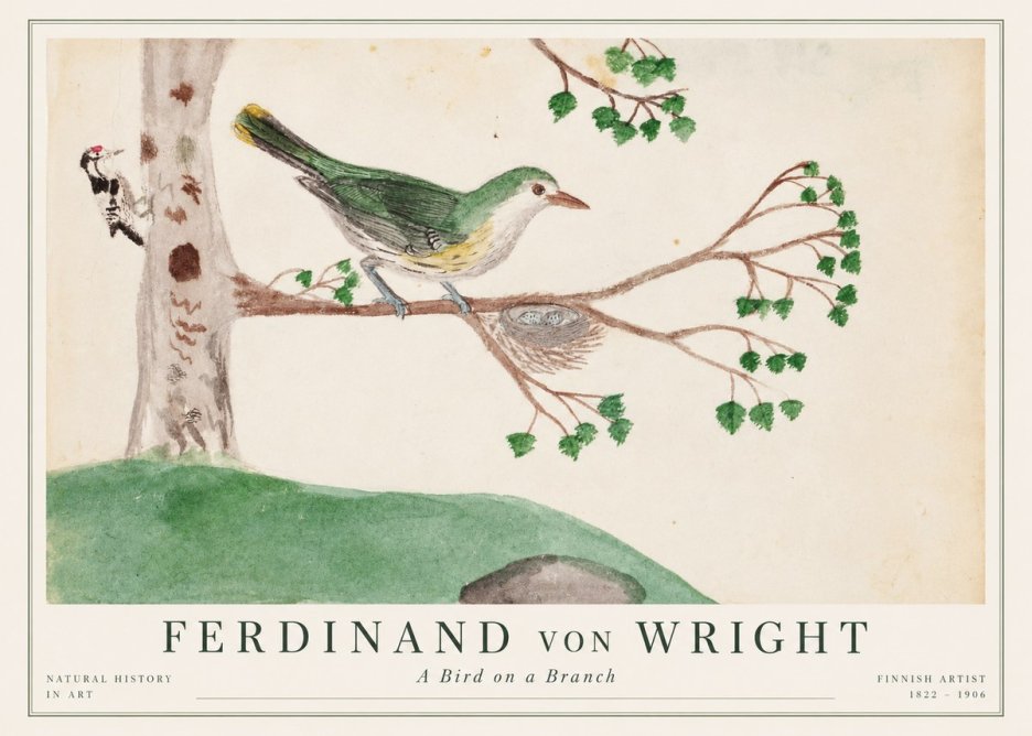 Ferdinand von Wright Green Warbler with Nest No2 - Plakát