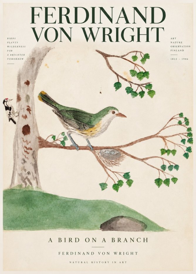Ferdinand von Wright Green Warbler with Nest No4 - Plakát