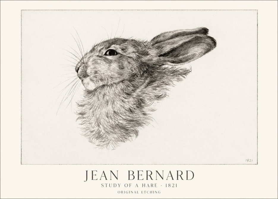 Jean Bernard Study of a Hare No1 - Plakát