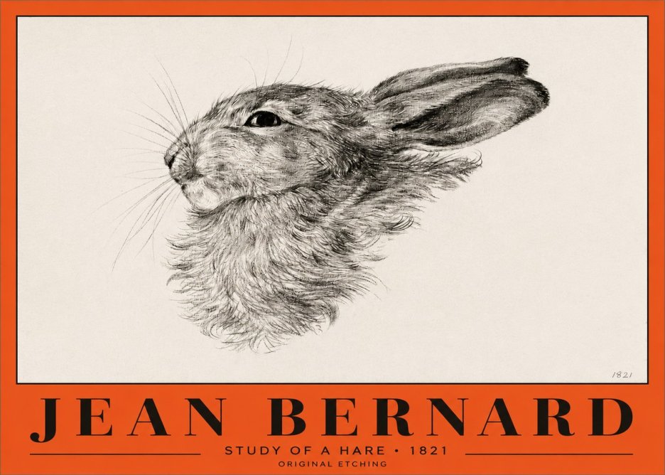 Jean Bernard Study of a Hare No2 - Plakát