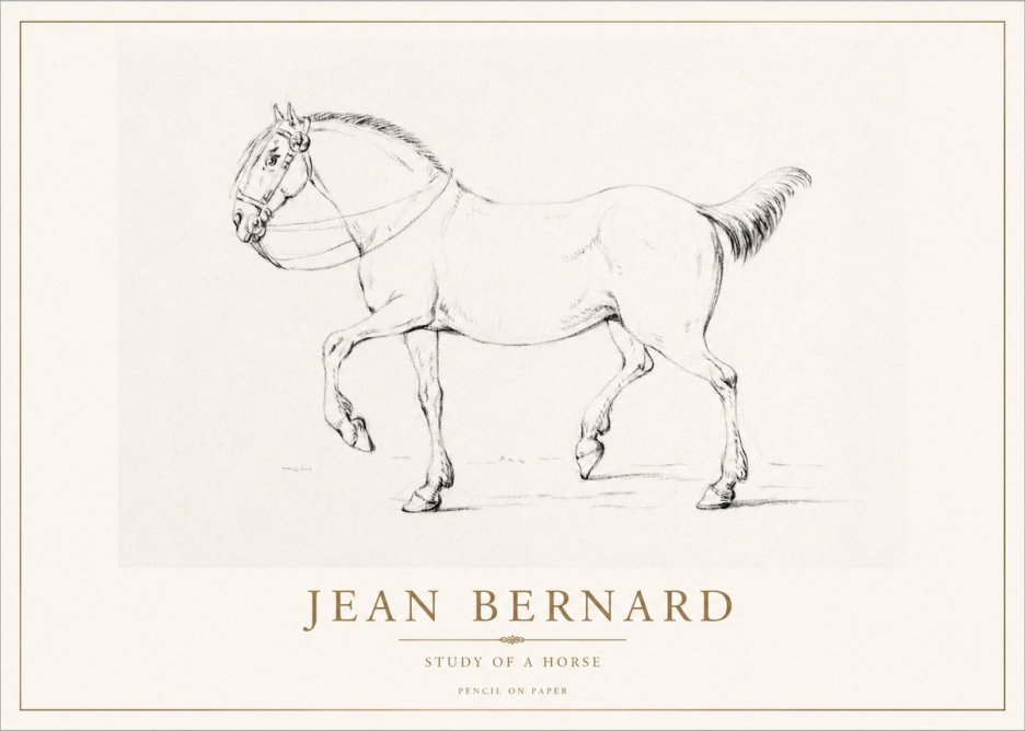 Jean Bernard Study of a Horse XVI No1 - Plakát