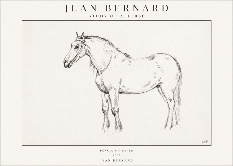 Jean Bernard Study of a Horse XVII No1 - Plakát