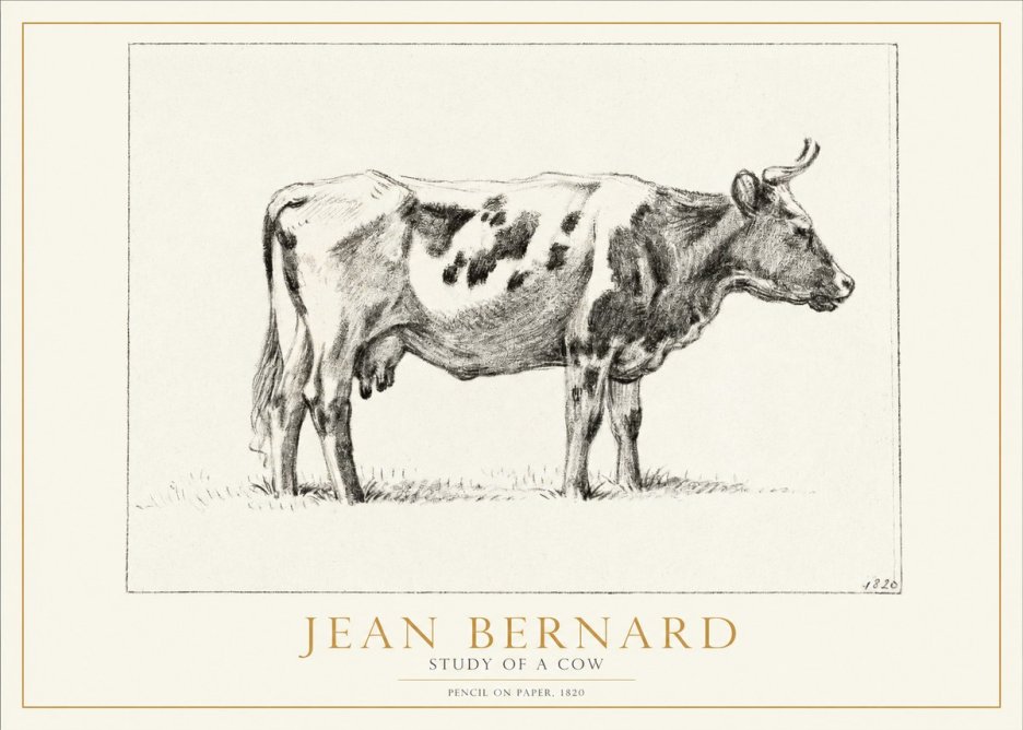 Jean Bernard Study of a Cow XX No2 - Plakát