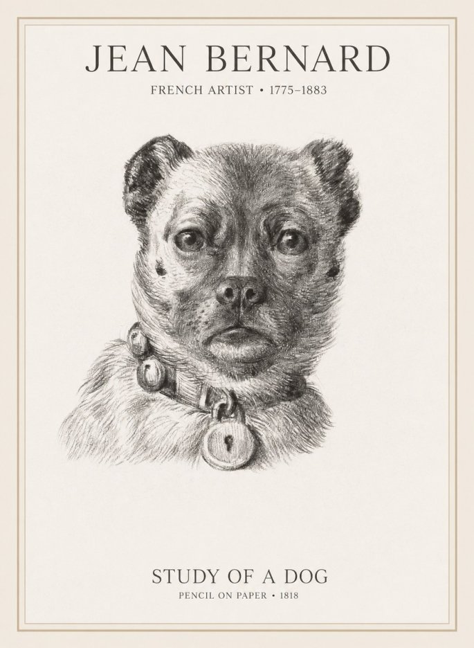 Jean Bernard Study of a Dog IV No1 - Plakát