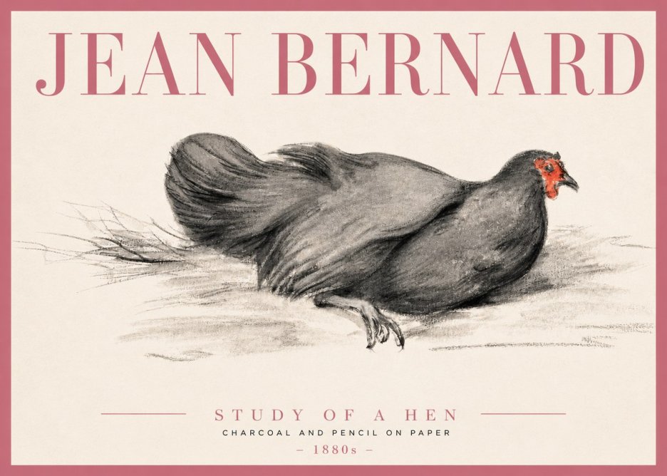 Jean Bernard Study of a Hen No3 - Plakát