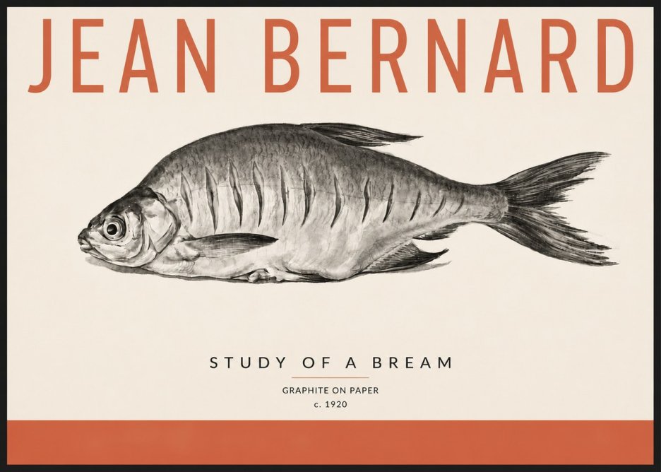 Jean Bernard Study of a Bream No4 - Plakát