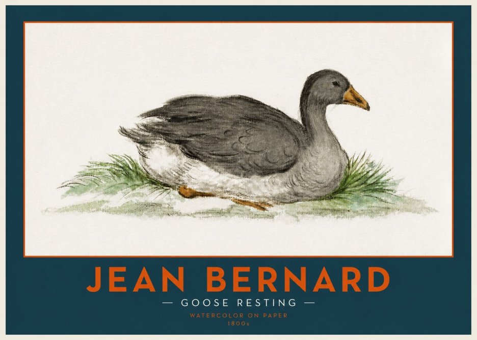 Jean Bernard Goose Resting No2 - Plakát