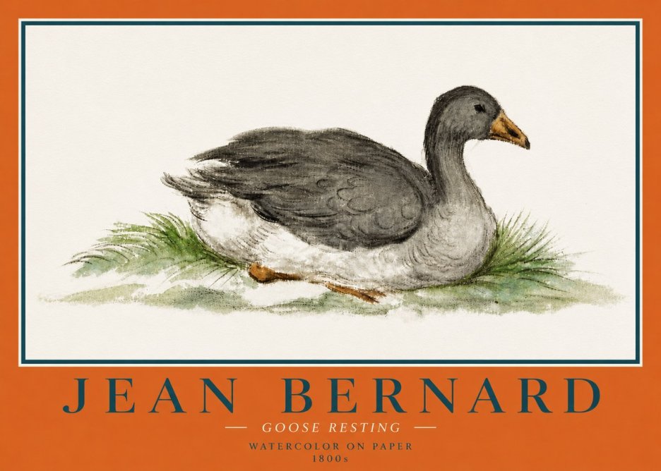 Jean Bernard Goose Resting No4 - Plakát