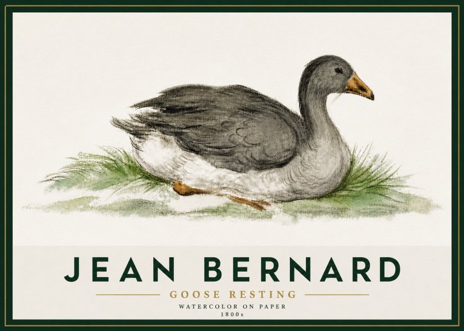 Jean Bernard Goose Resting No5 - Plakát