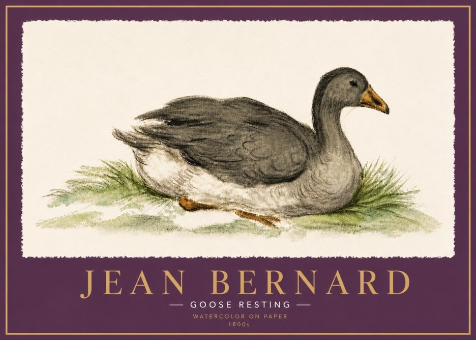 Jean Bernard Goose Resting No6 - Plakát