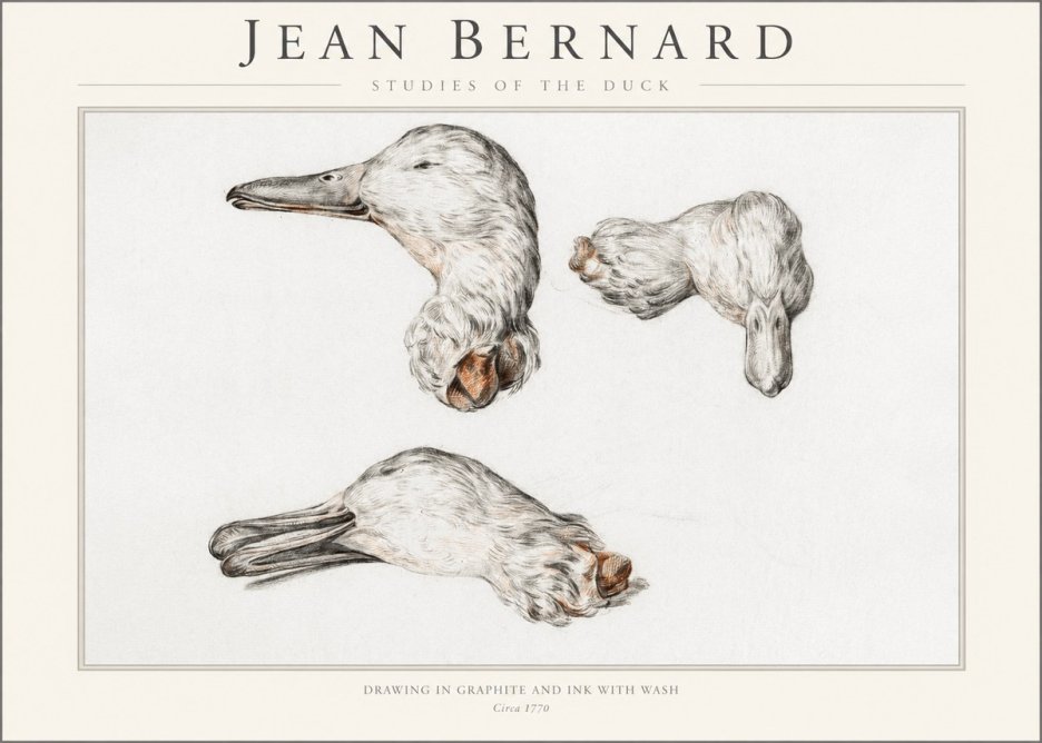 Jean Bernard Studies of the Duck No1 - Plakát