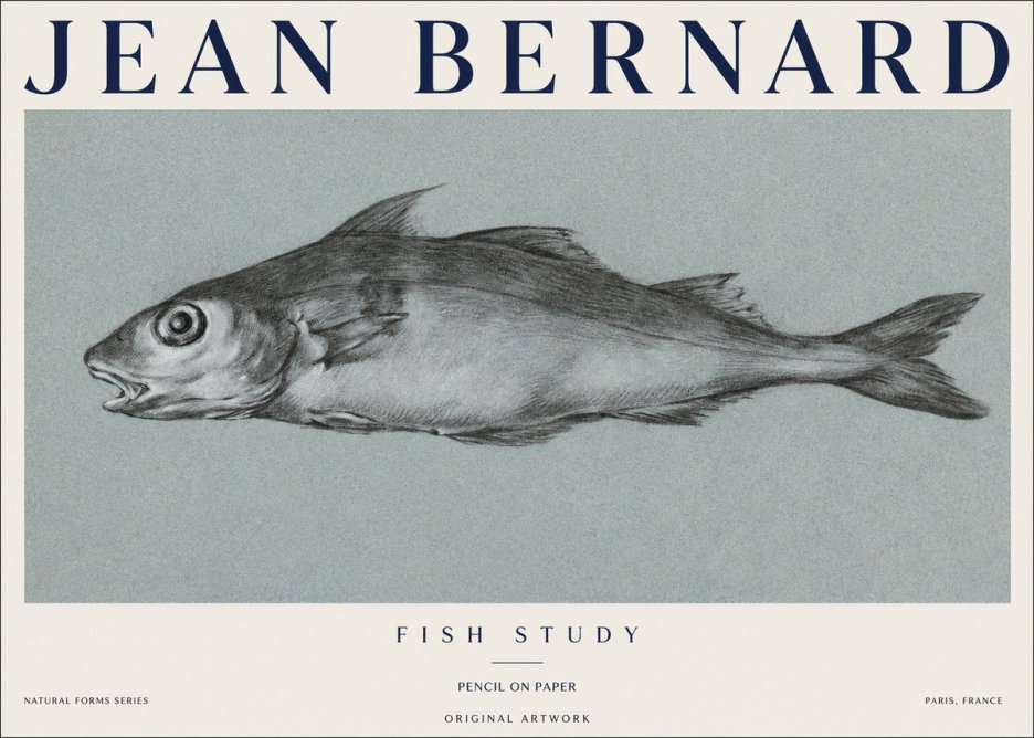 Jean Bernard Fish Study I No1 - Plakát