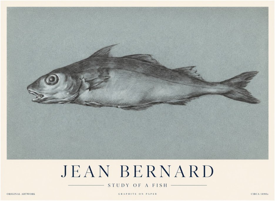 Jean Bernard Fish Study I No4 - Plakát