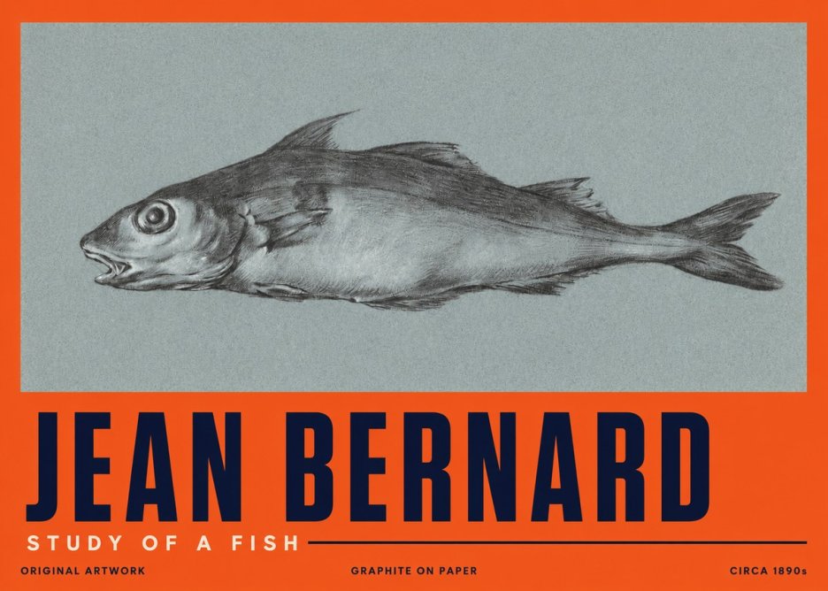 Jean Bernard Fish Study I No5 - Plakát