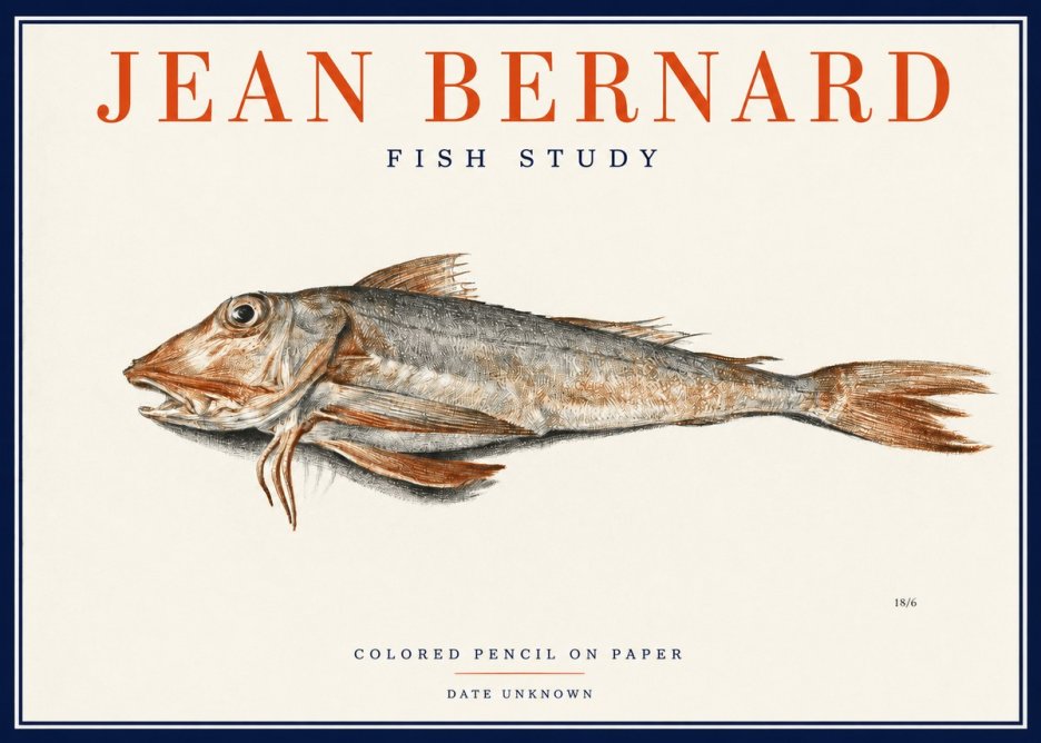Jean Bernard Fish Study II No2 - Plakát