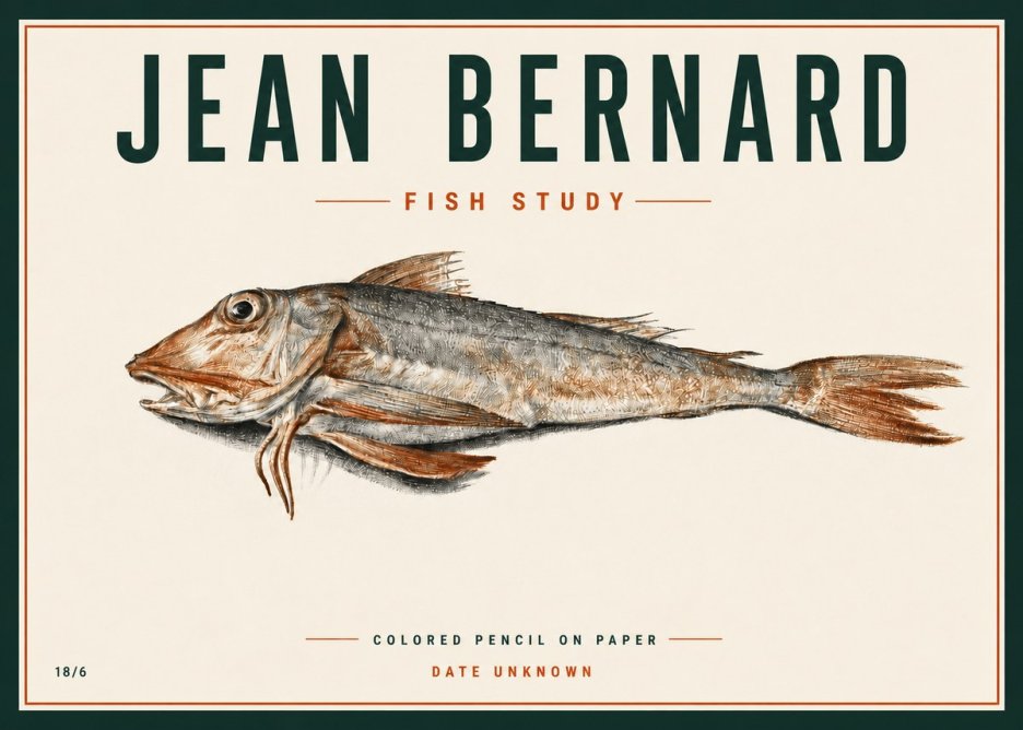 Jean Bernard Fish Study II No4 - Plakát
