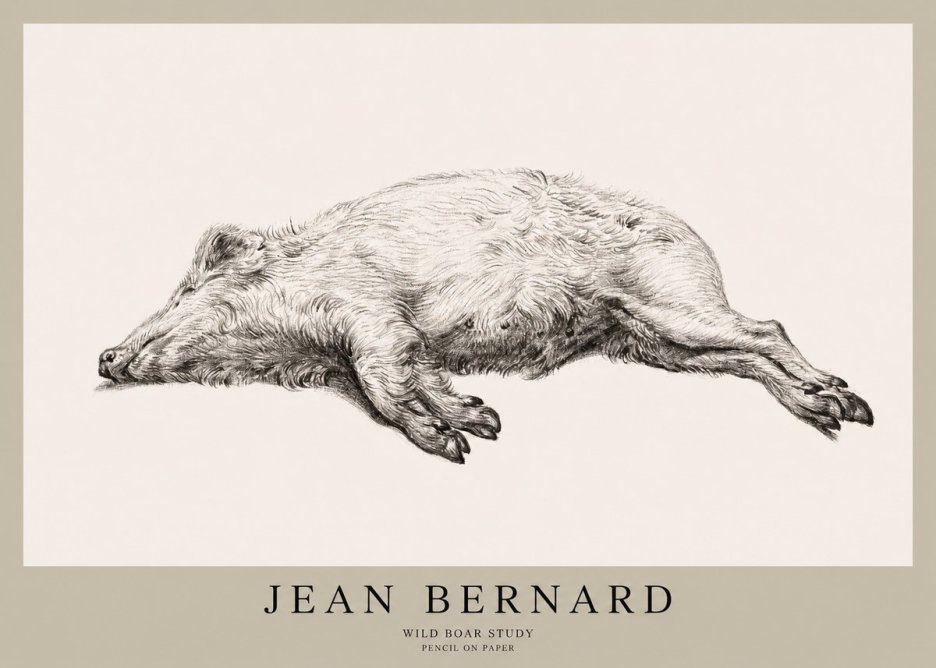 Jean Bernard Wild Boar Study No1 - Plakát