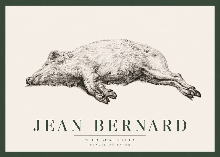 Jean Bernard Wild Boar Study No2 - Plakát
