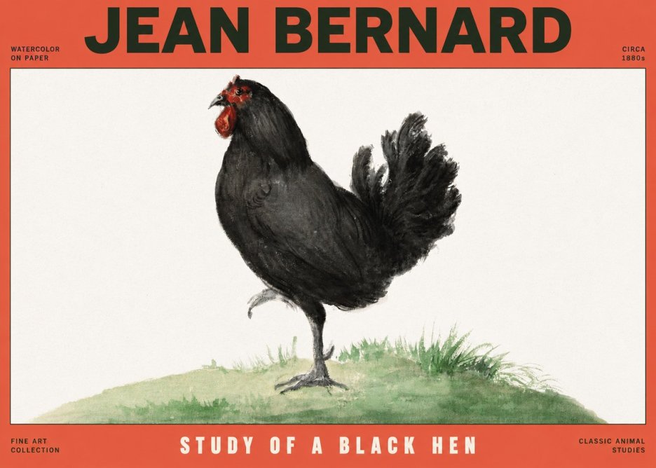 Jean Bernard Study of a Black Hen No2 - Plakát