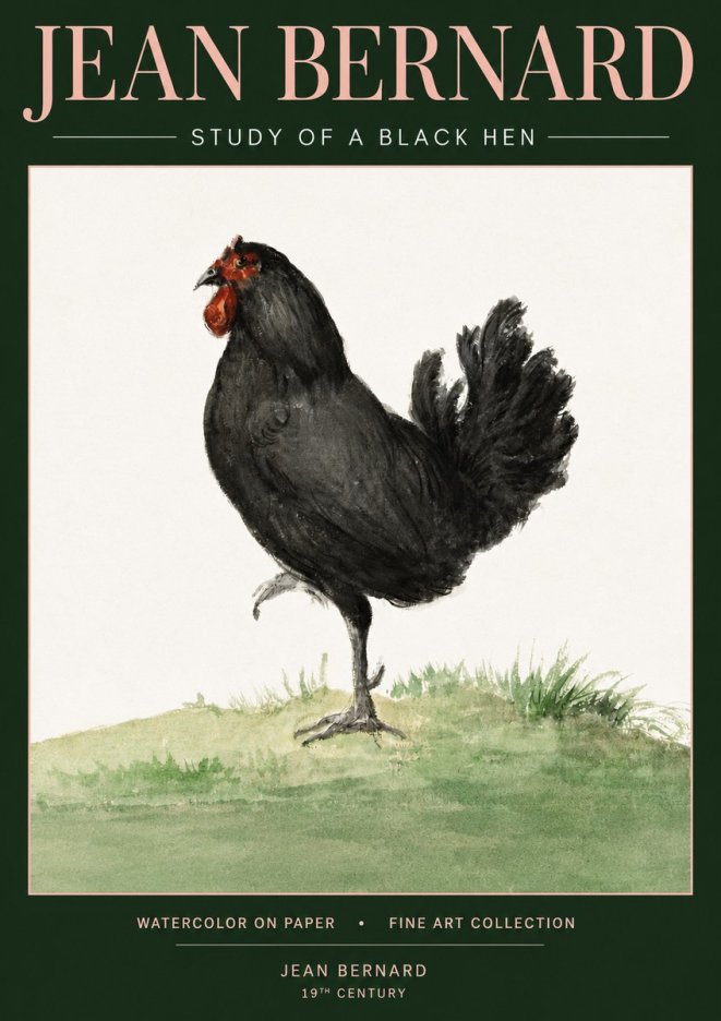Jean Bernard Study of a Black Hen No3 - Plakát