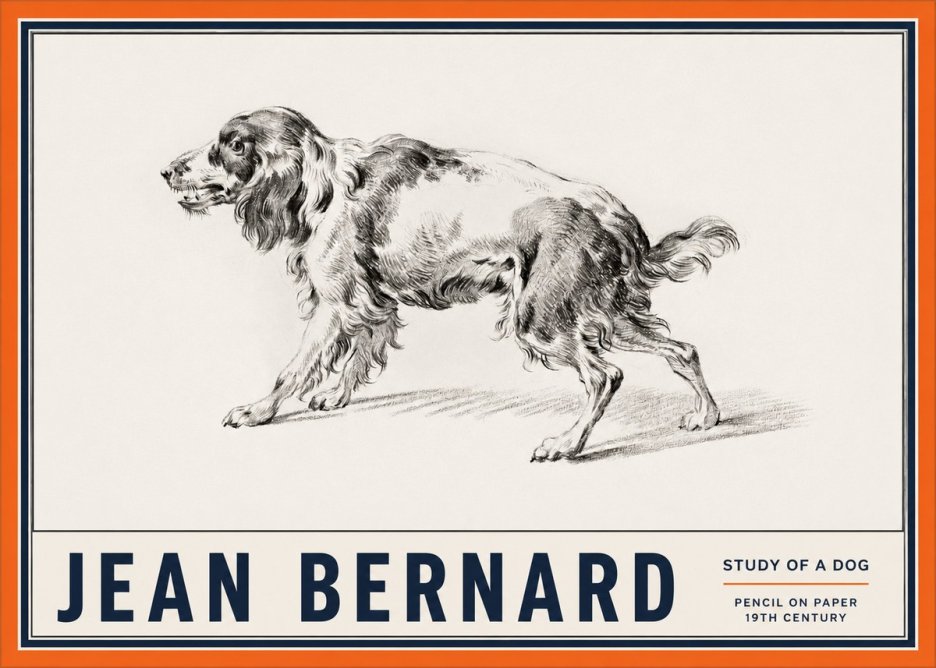 Jean Bernard Study of a Dog V No2 - Plakát