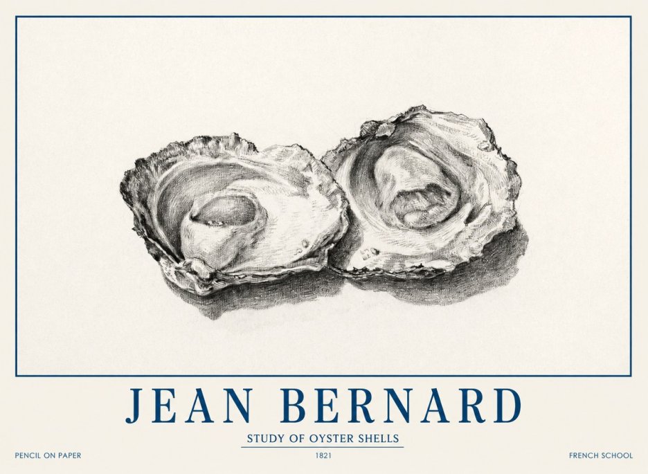 Jean Bernard Study of Oyster Shells No1 - Plakát