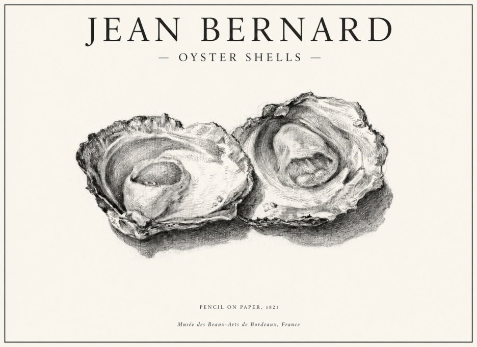 Jean Bernard Study of Oyster Shells No6 - Plakát