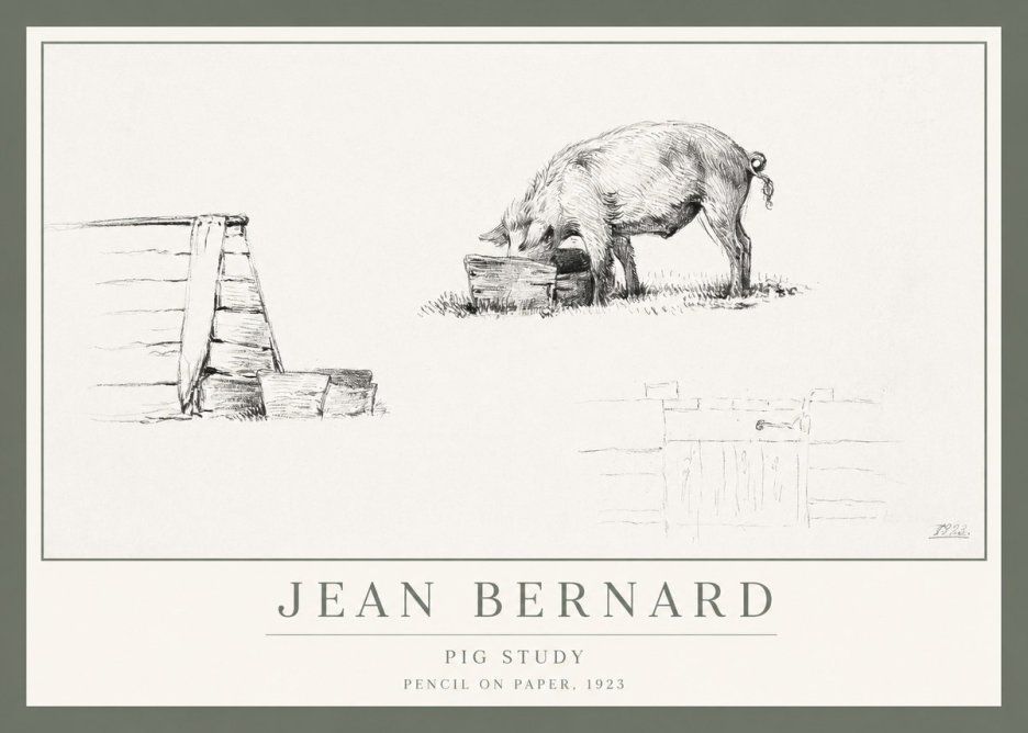 Jean Bernard Pig Study No1 - Plakát