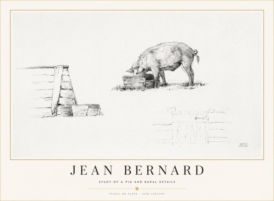 Jean Bernard Pig Study No2 - Plakát