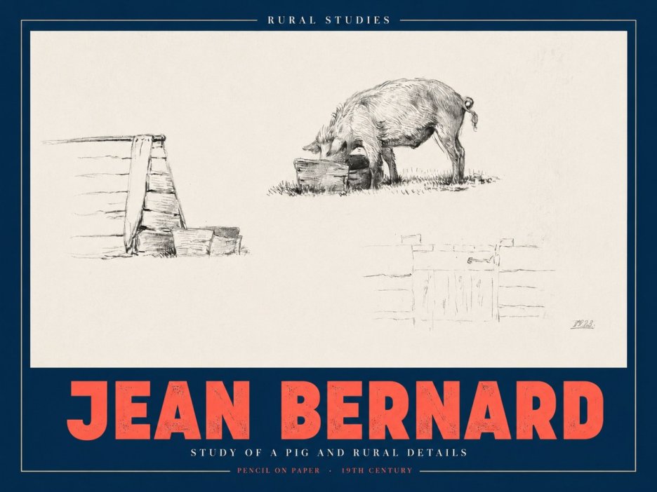 Jean Bernard Pig Study No3 - Plakát