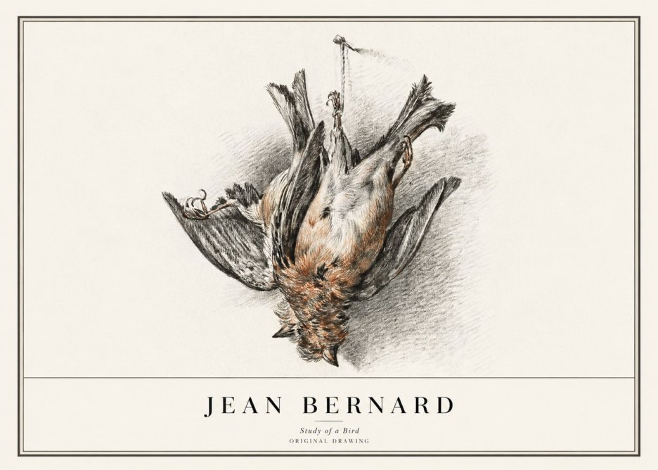 Jean Bernard Study of a Bird IV No1 - Plakát