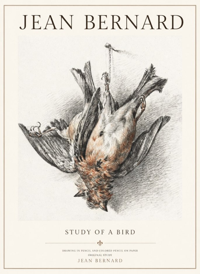 Jean Bernard Study of a Bird IV No3 - Plakát