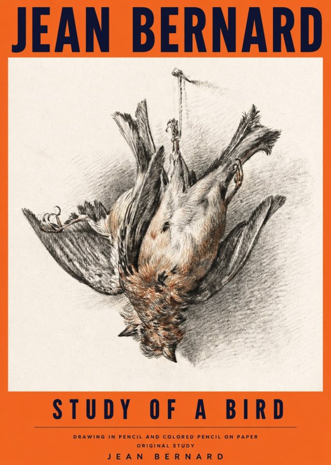 Jean Bernard Study of a Bird IV No4 - Plakát