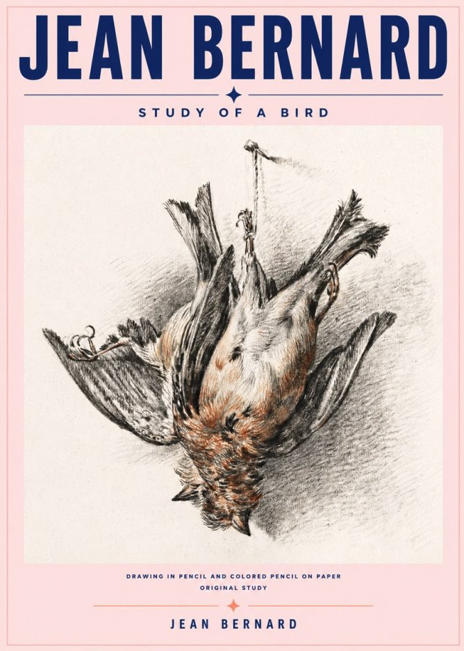 Jean Bernard Study of a Bird IV No6 - Plakát
