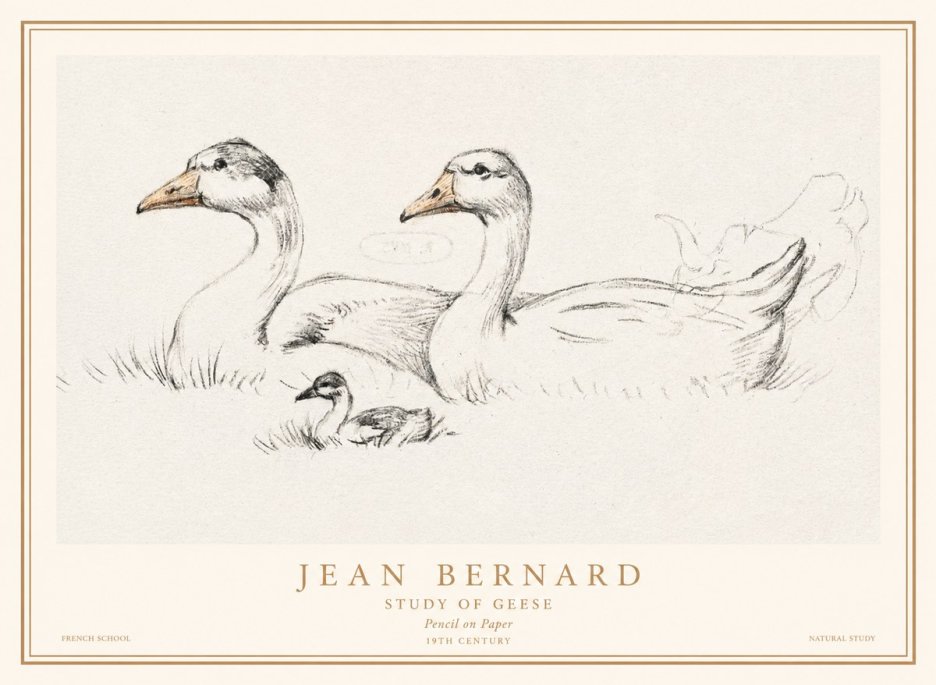 Jean Bernard Study of Geese No1 - Plakát