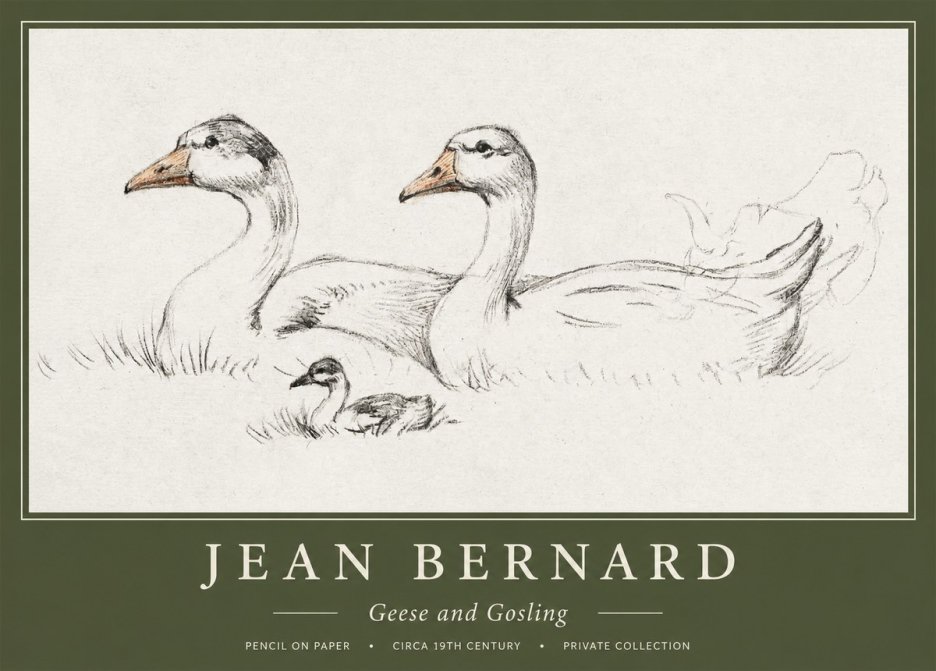 Jean Bernard Study of Geese No2 - Plakát