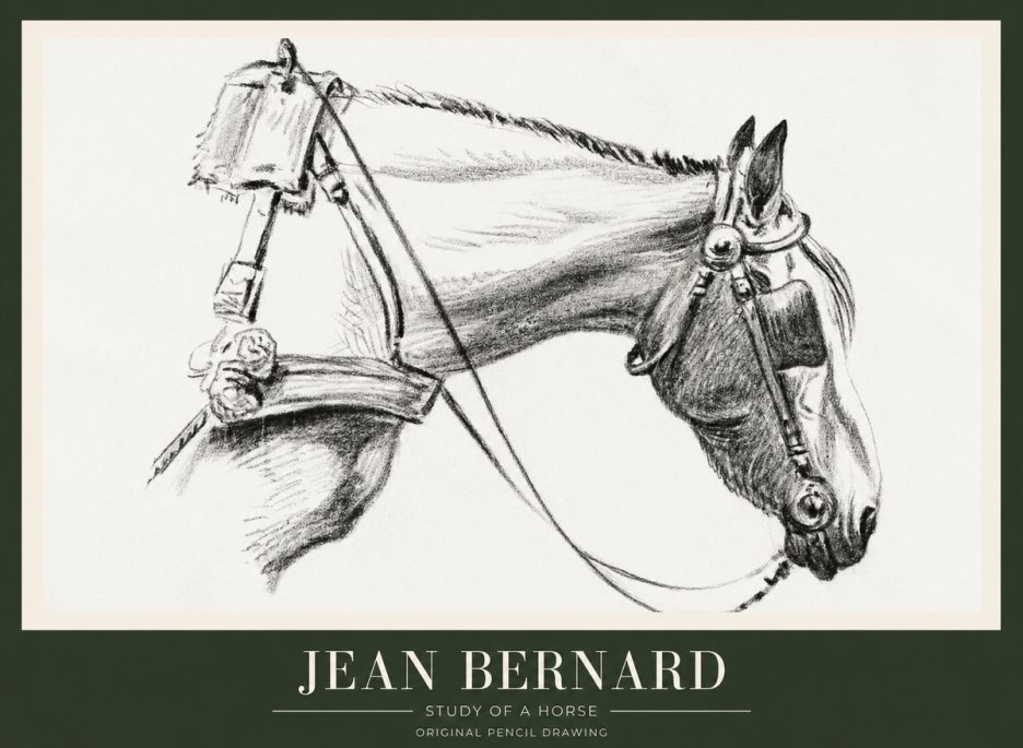 Jean Bernard Study of a Horse XVIII No1 - Plakát