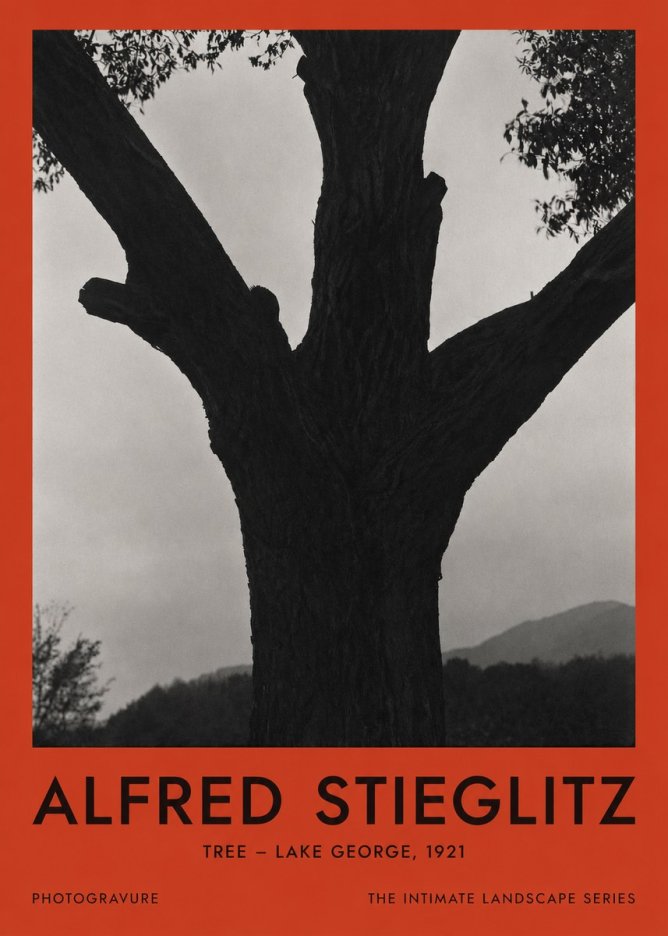 Alfred Stieglitz Tree - Lake George, 1921 No2 - Plakát