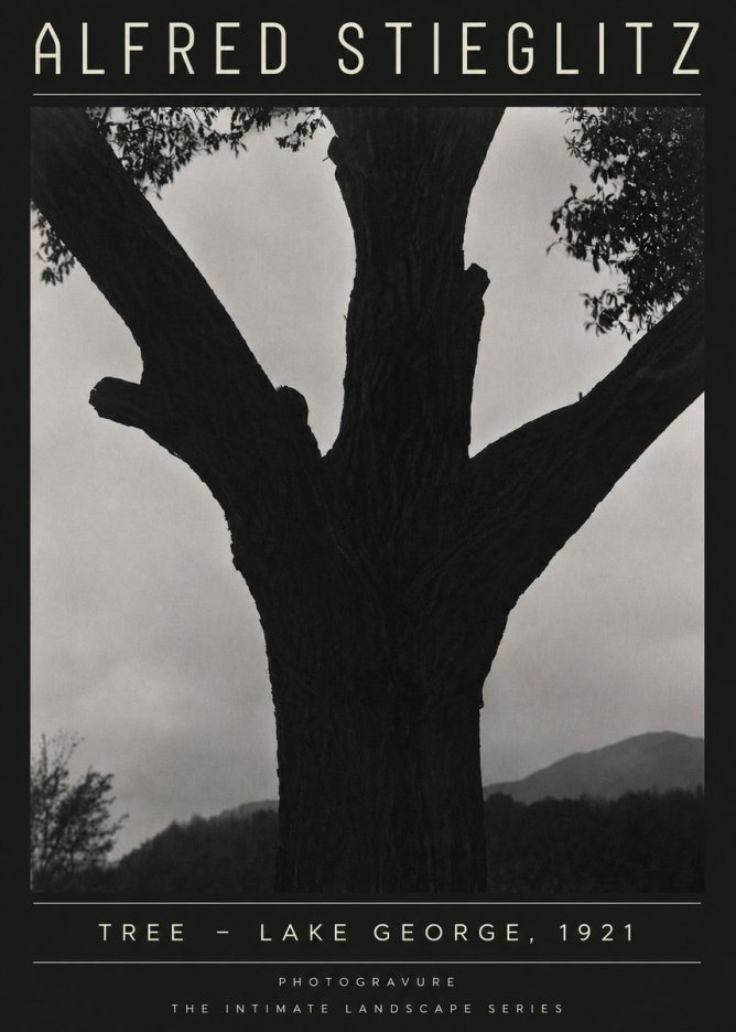 Alfred Stieglitz Tree - Lake George, 1921 No4 - Plakát