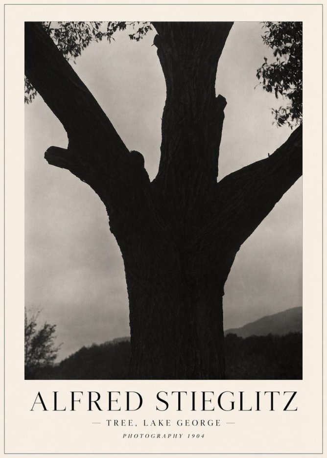 Alfred Stieglitz Tree - Lake George, 1921 No5 - Plakát