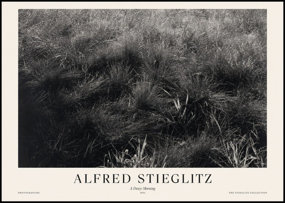 Alfred Stieglitz A Dewy Morning No1 - Plakát
