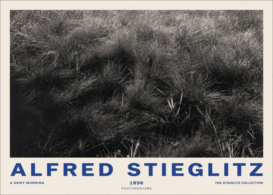 Alfred Stieglitz A Dewy Morning No2 - Plakát