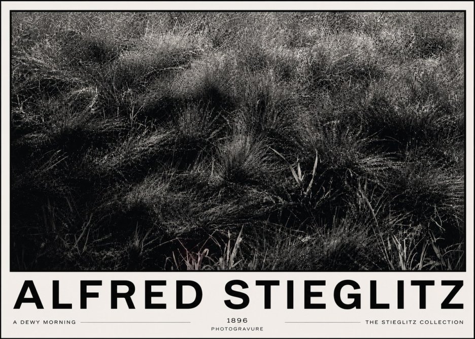Alfred Stieglitz A Dewy Morning No6 - Plakát
